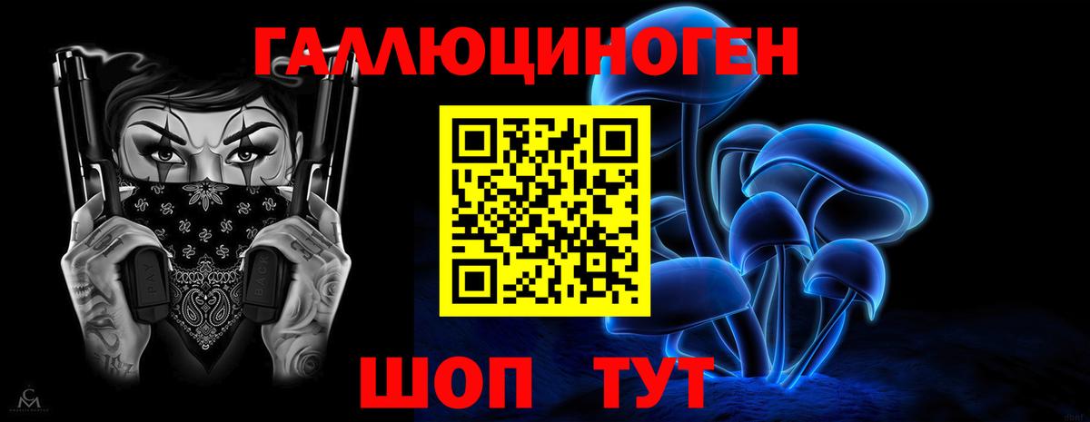 Псилоцибиновые грибы Psilocybine cubensis Тихвин